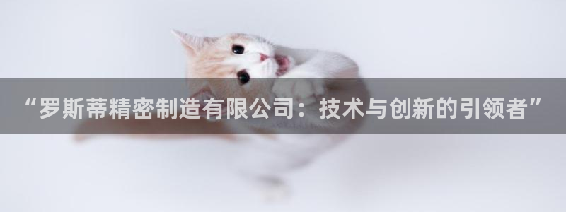 彩神v8手机客户端：“罗斯蒂精密制造有限公司：技术与创新的引领者”