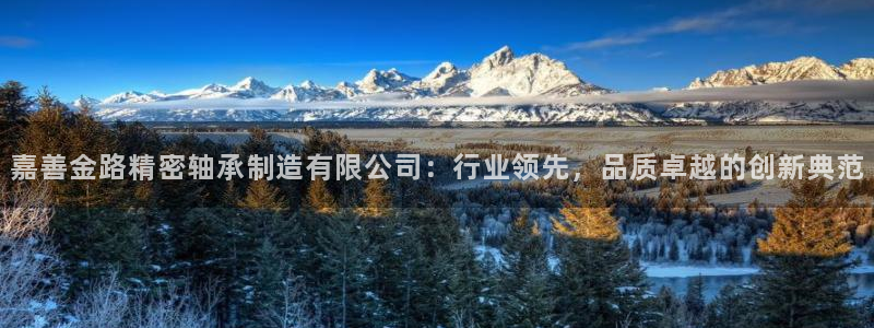 彩神ix能赚钱吗：嘉善金路精密轴承制造有限公司：行业领先，品质卓越的创新典范