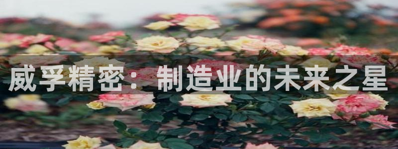 彩神v8iii：威孚精密：制造业的未来之星