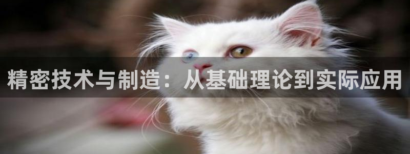 彩神是真的吗：精密技