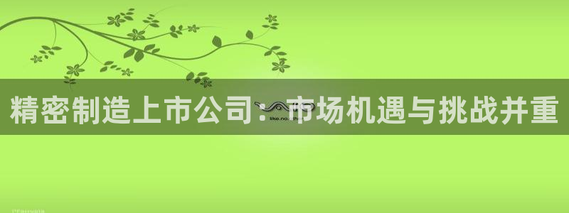 彩神vip购彩大厅：精密制造上市公司：市场机遇与挑战并重