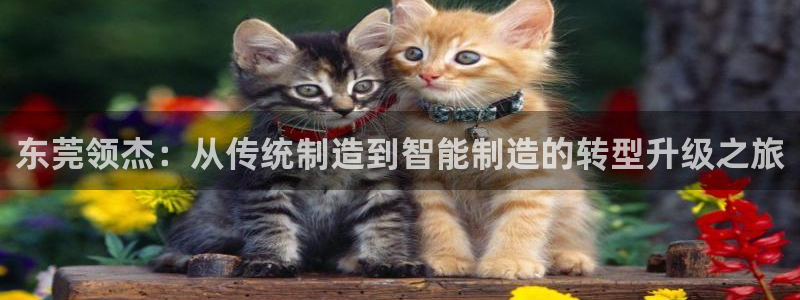 彩神v彩搜狗：东莞领杰：从传统制造到智能制造的转型升级之旅