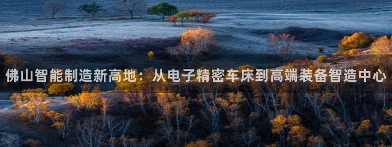 彩神V8有限公司：佛山智能制造新高地：从电子精密车床到高端装备智造中心