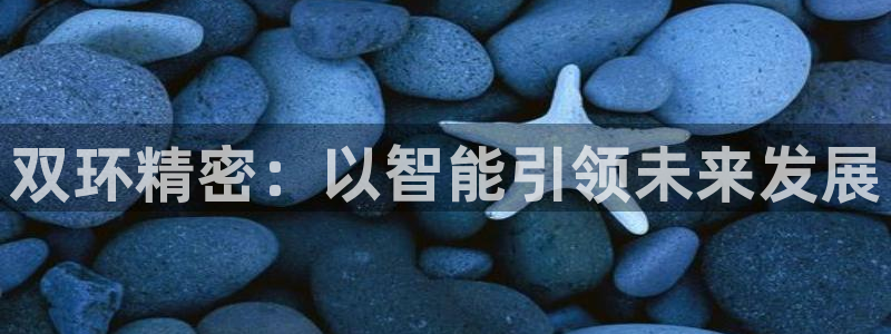 彩神vll官网-最新版app下载：双环精密：以智能引领未来发展