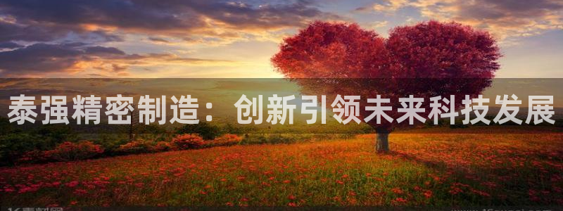 下载彩神乐发V1：泰强精密制造：创新引领未来科技发展