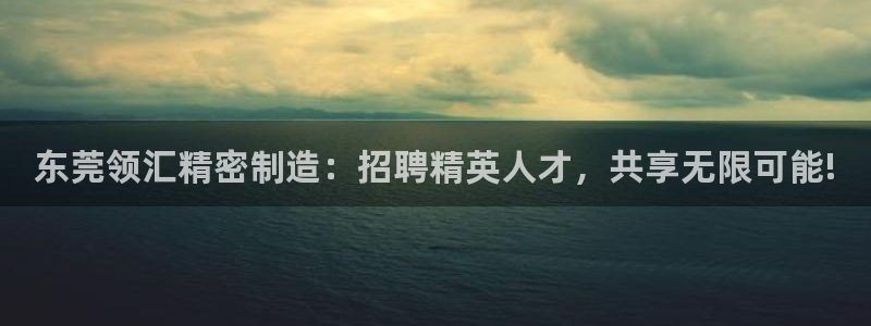 彩神vll官网-最新版app下载：东莞领汇精密制造：招聘精英人才，共享无限可能!