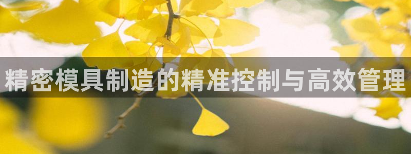 彩神v8是真的挣钱吗：精密模具制造的精准控制与高效管理