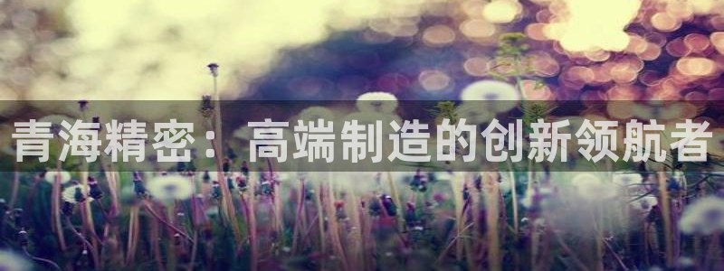 彩神Vll：青海精密：高端制造的创新领航者