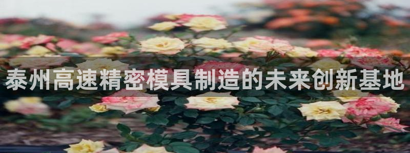 彩神大发黑平台：泰州高速精密模具制造的未来创新基地