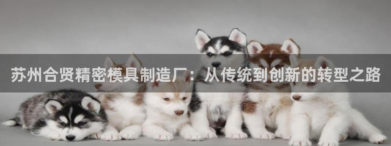 下载彩神乐发V：苏州合贤精密模具制造厂：从传统到创新的转型之路