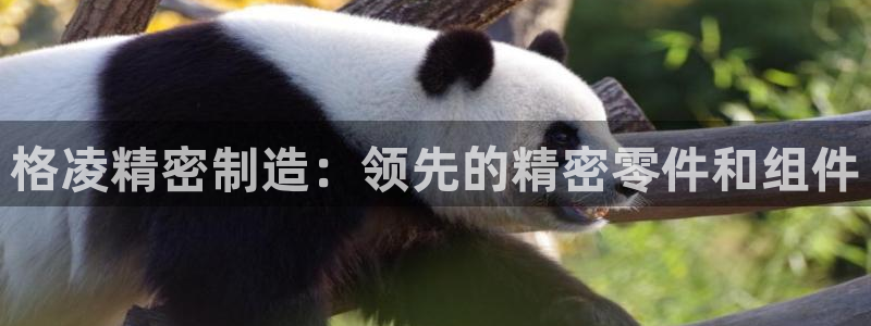 彩神v下载安装：格凌