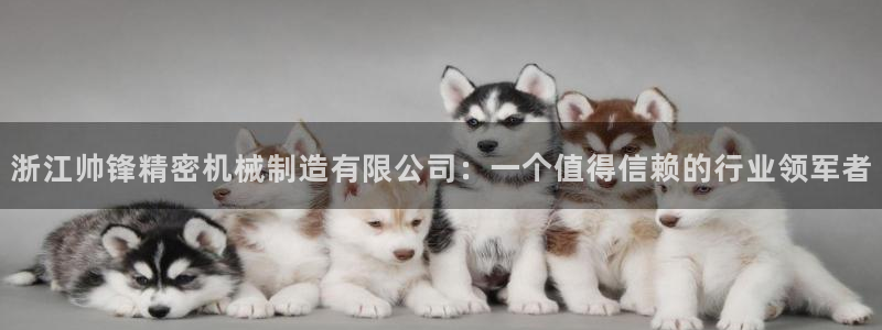 彩神VII购彩中心