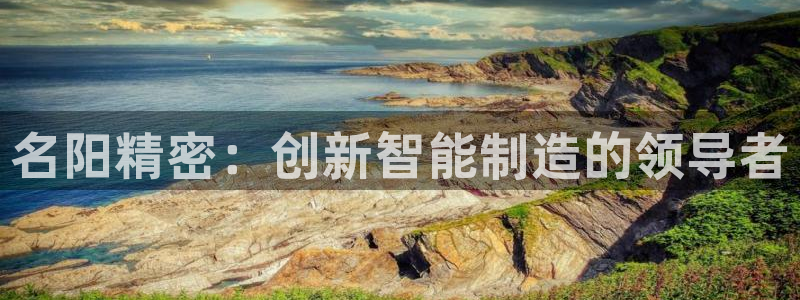 彩神v8下载app：