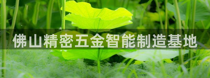 彩神争霸平台：佛山精密五金智能制造基地