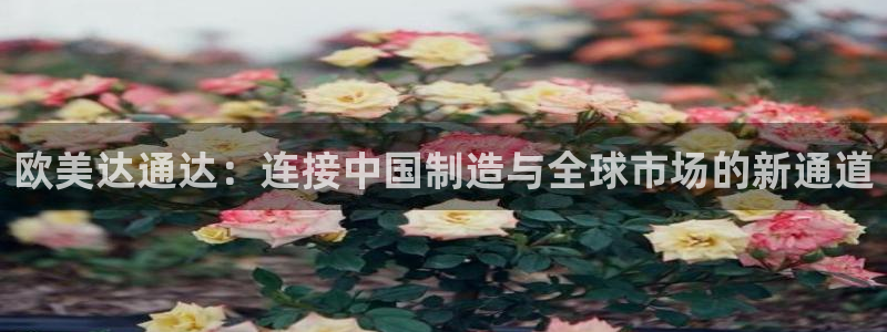 彩神争霸老平台：欧美达通达：连接中国制造与全球市场的新通道