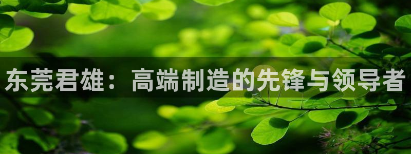 彩神平台是什么套路：东莞君雄：高端制造的先锋与领导者