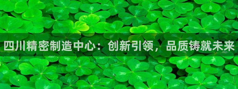 彩神赢钱了吗：四川精密制造中心：创新引领，品质铸就未来