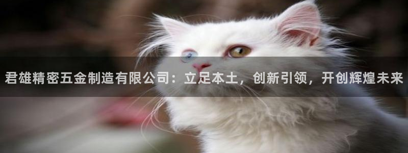 彩神vlll官方网：君雄精密五金制造有限公司：立足本土，创新引领，开创辉煌未来