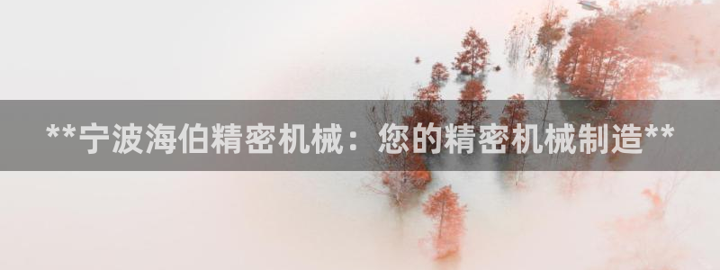 新版彩神v8登录教程：**宁波海伯精密机械：您的精密机械制造**