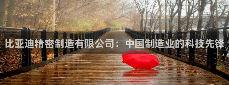 彩神v8平台正规吗知乎：比亚迪精密制造有限公司：中国制造业的科技先锋