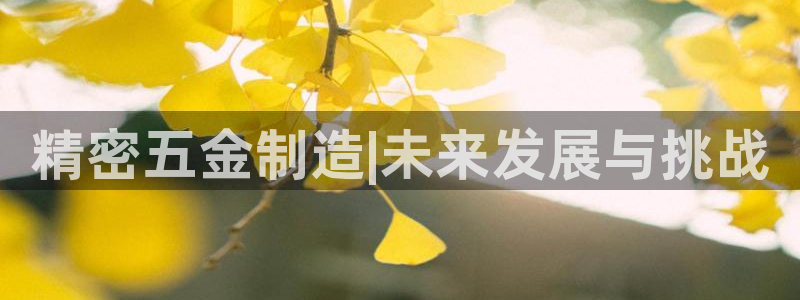 新版彩神v8登录教程：精密五金制造|未来发展与挑战