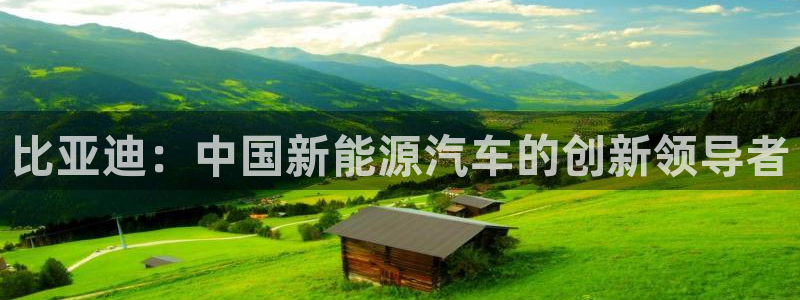 彩神viii官网：比亚迪：中国新能源汽车的创新领导者