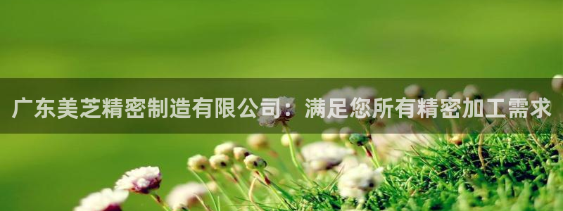 彩神8官网500：广东美芝精密制造有限公司：满足您所有精密加工需求