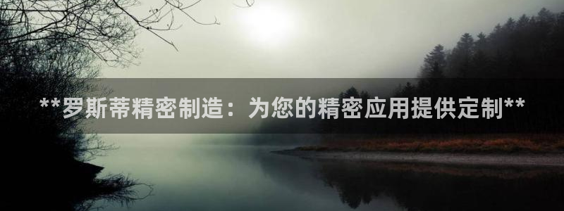 彩神盈利图片：**罗斯蒂精密制造：为您的精密应用提供定制**