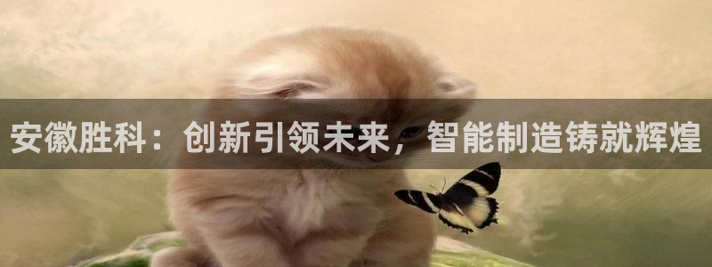 彩神 好 平台：安徽胜科：创新引领未来，智能制造铸就辉煌