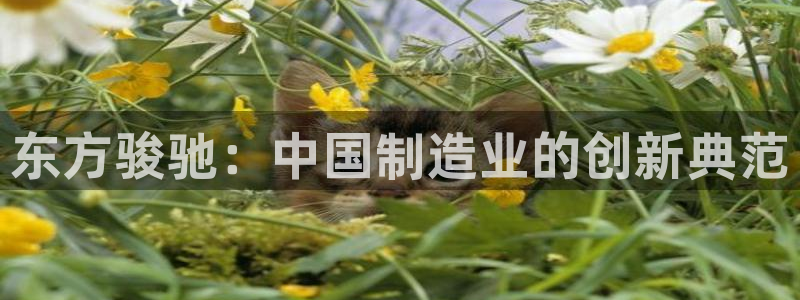 彩神vlll官网网上购彩：东方骏驰：中国制造业的创新典范