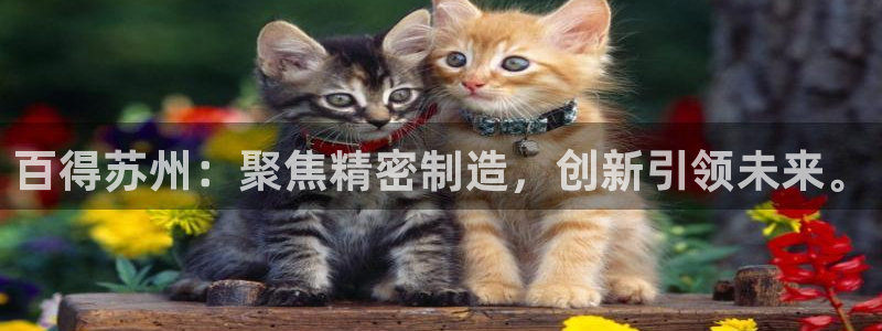 彩神8是正规平台吗知乎：百得苏州：聚焦精密制造，创新引领未来。