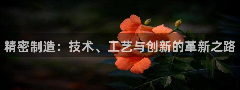 彩神赢的钱是哪里来的啊：精密制造：技术、工艺与创新的革新之路