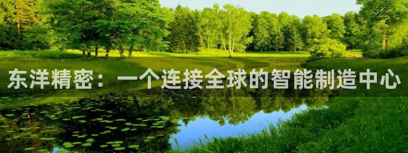 彩神V集团公司：东洋精密：一个连接全球的智能制造中心