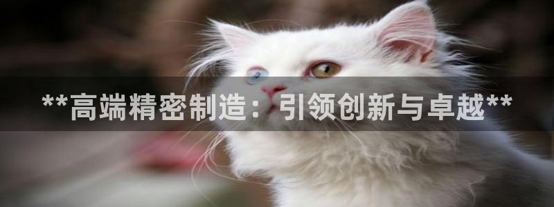 新版彩神v8登录不上去：**高端精密制造：引领创新与卓越**