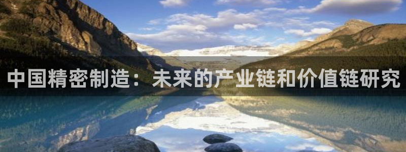 下载彩神争霸谁与我争锋：中国精密制造：未来的产业链和价值链研究