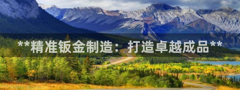 大发彩神争：**精准钣金制造：打造卓越成品**