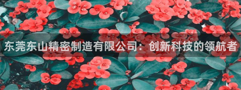 彩神输的钱是赌博还是诈骗：东莞东山精密制造有限公司：创新科技的领航者