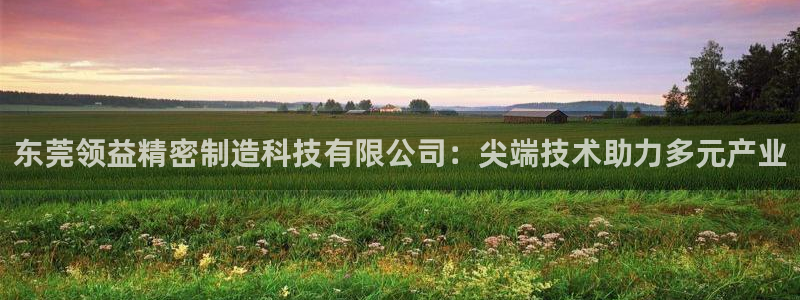 彩神官方邀请码是多少：东莞领益精密制造科技有限公司：尖端技术助力多元产业