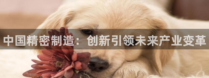 彩神平台之间是什么关系：中国精密制造：创新引领未来产业变革