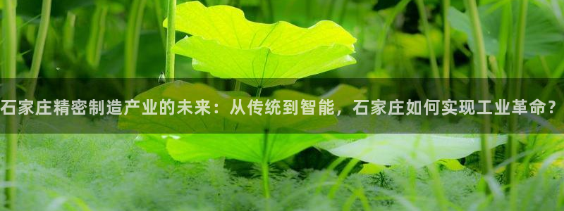 彩神官方邀请码是多少：石家庄精密制造产业的未来：从传统到智能，石家庄如何实现工业革命？