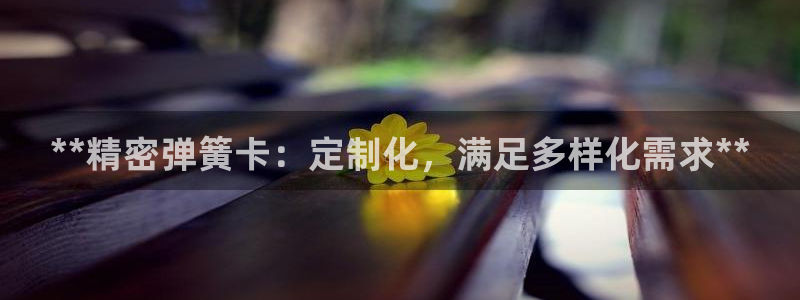 彩神旗下有哪些平台：**精密弹簧卡：定制化，满足多样化需求**