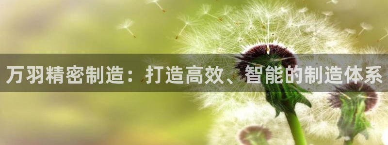 彩神大发如何观察走势