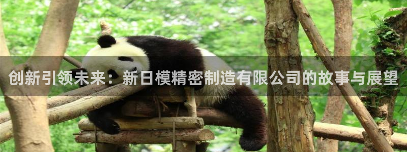 彩神v8手机客户端